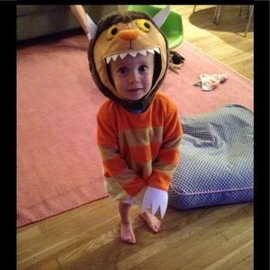 Pottery Barn Where the wild things monster costume